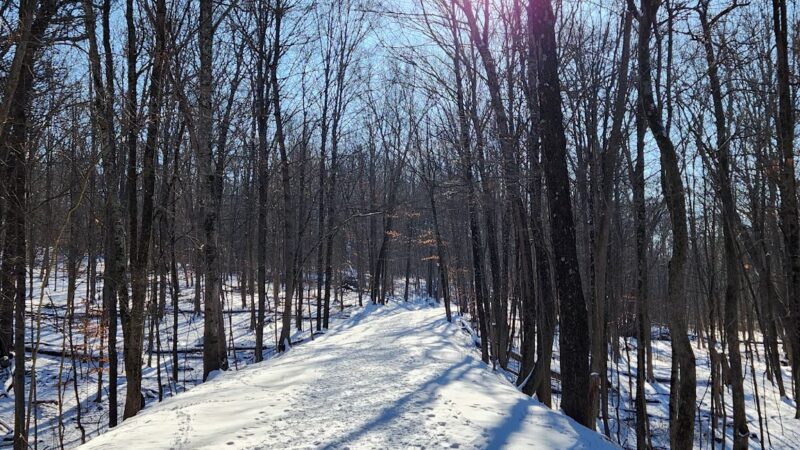 Kimball Park - Walden, NY