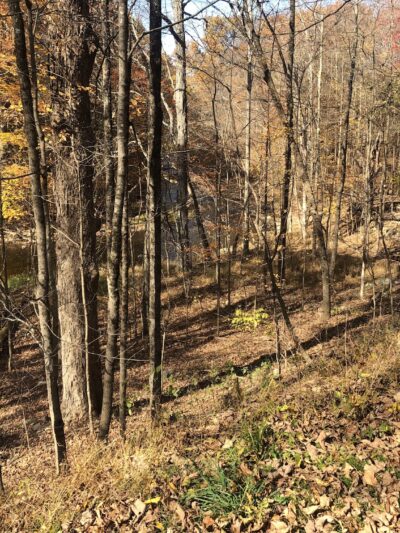 Kimball Park - Walden, NY