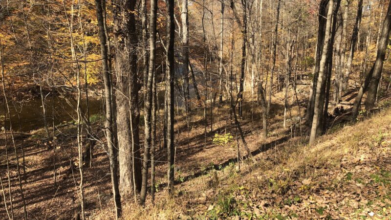 Kimball Park - Walden, NY