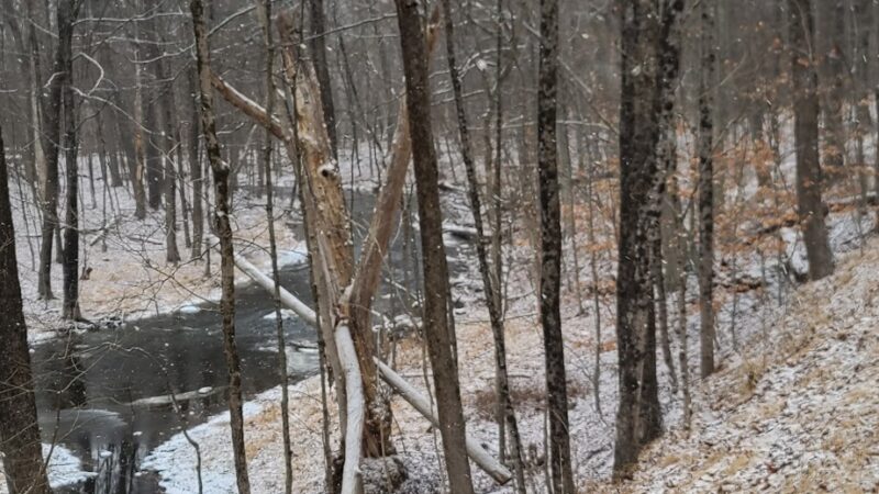 Kimball Park - Walden, NY