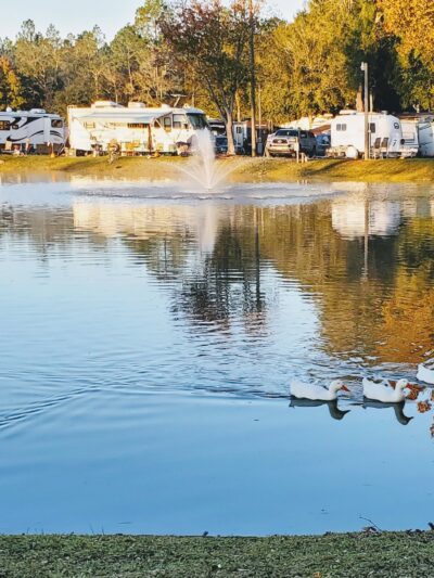 Gainesville RV Park, Boat & RV Storage - Waldo, FL