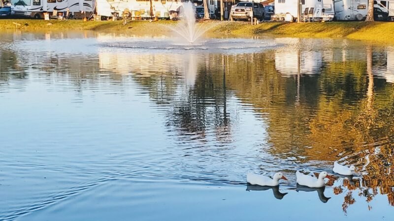 Gainesville RV Park, Boat & RV Storage - Waldo, FL