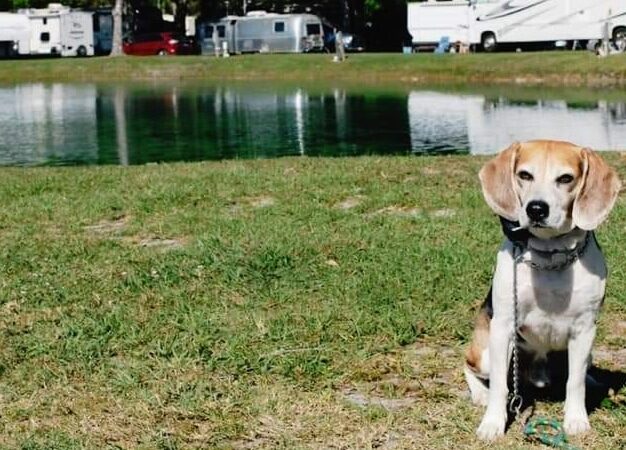 Gainesville RV Park, Boat & RV Storage - Waldo, FL