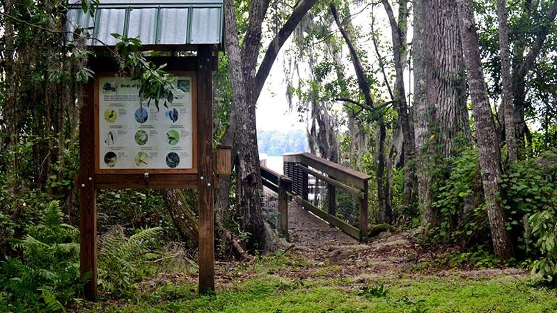 Lake Alto North Preserve - Waldo, FL