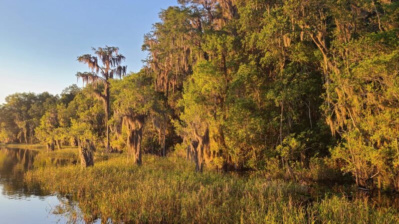 Lake Alto North Preserve - Waldo, FL