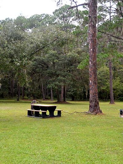 Lake Alto Park - Waldo, FL