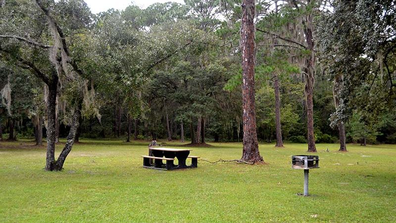 Lake Alto Park - Waldo, FL
