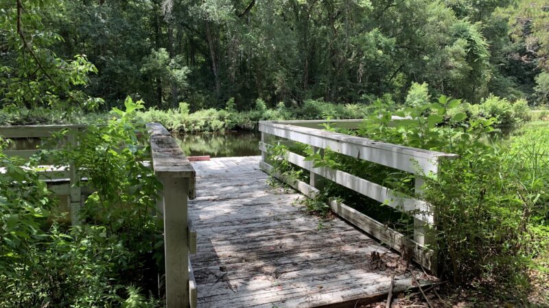 Waldo Canal Park - Waldo, FL