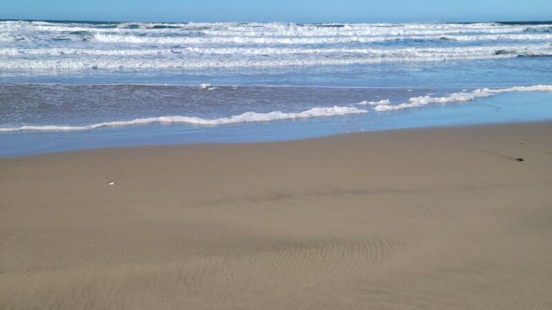 Beach Access 67 - Waldport, OR