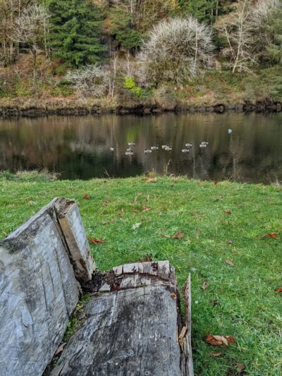 Don Lindly Park - Waldport, OR