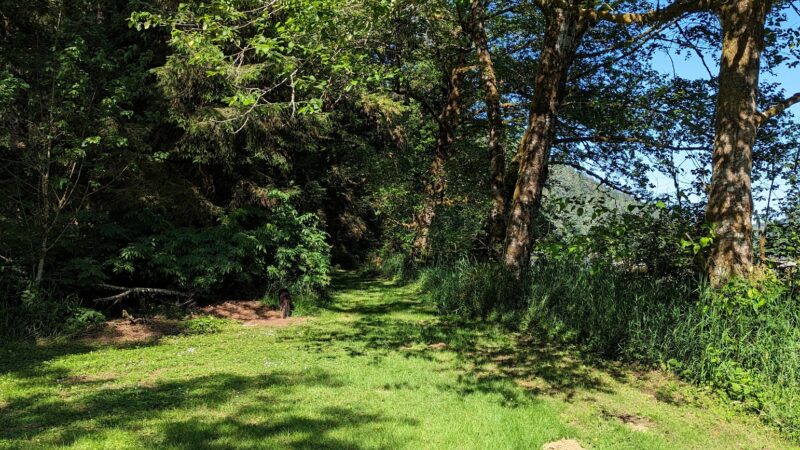Don Lindly Park - Waldport, OR