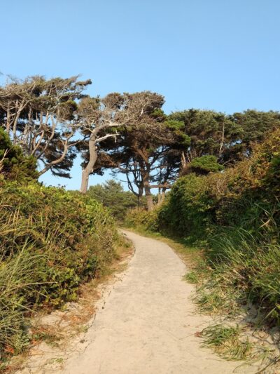 Governor Patterson Memorial State Recreation Site - Waldport, OR