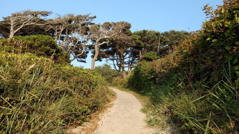 Governor Patterson Memorial State Recreation Site - Waldport, OR