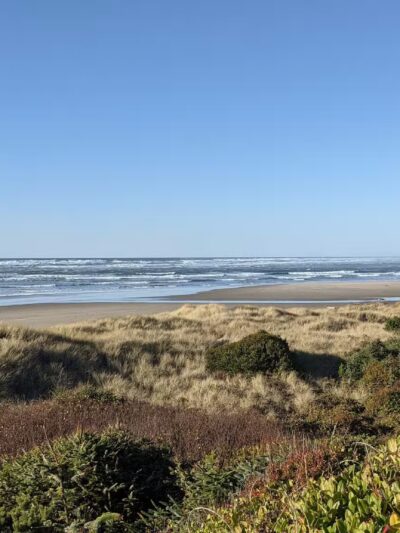 Governor Patterson Memorial State Recreation Site - Waldport, OR