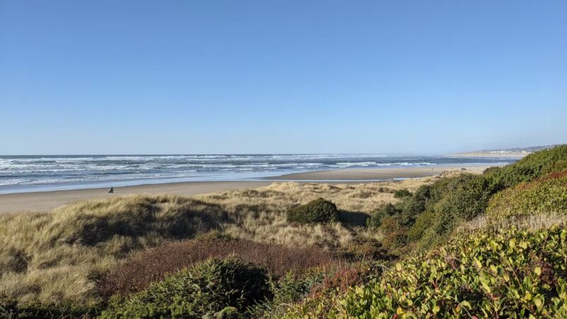 Governor Patterson Memorial State Recreation Site - Waldport, OR