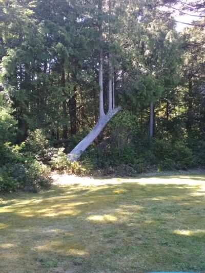 Waldport Skatepark - Waldport, OR