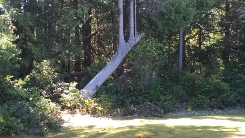 Waldport Skatepark - Waldport, OR