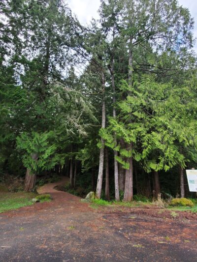 Waldport Skatepark - Waldport, OR