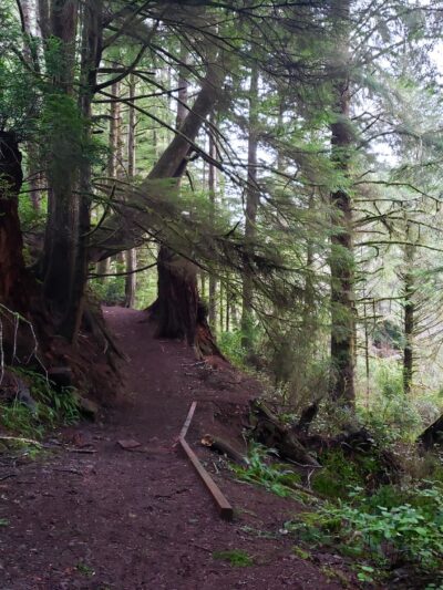 Woodland Trail - Waldport, OR