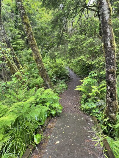 Woodland Trail - Waldport, OR
