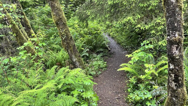 Woodland Trail - Waldport, OR