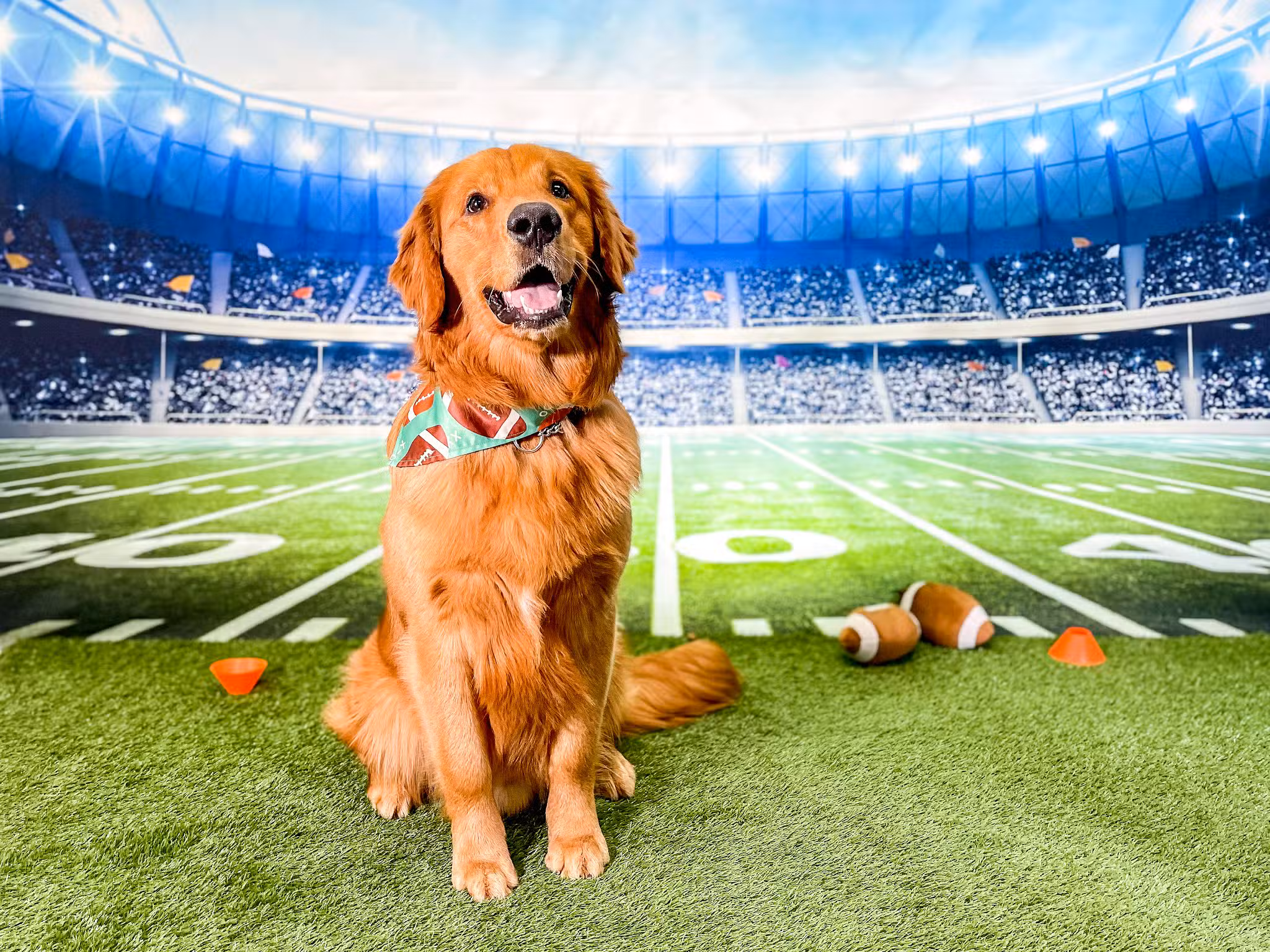 Kathy Santo Dog Training - Waldwick, NJ