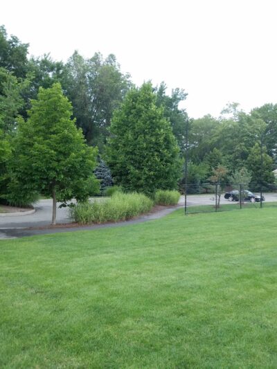 Veterans Park - Waldwick, NJ