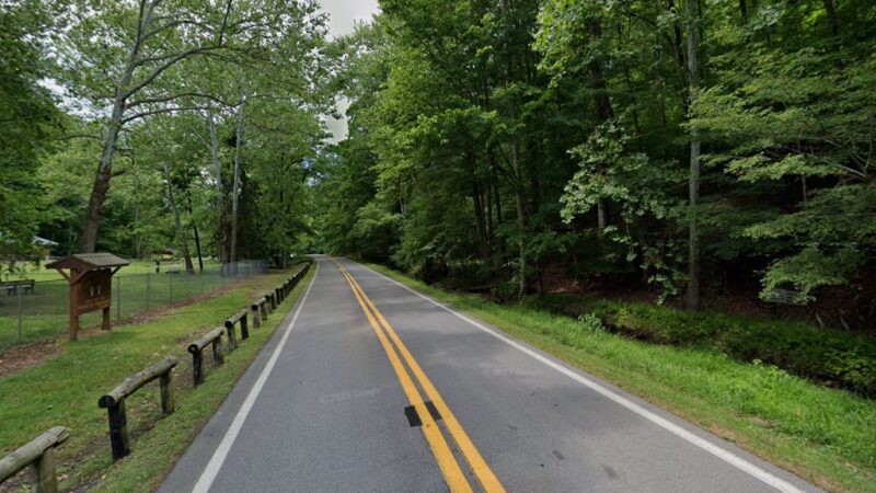 Dog park - Walker, WV