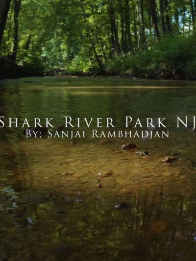Shark River Park - Wall Township, NJ