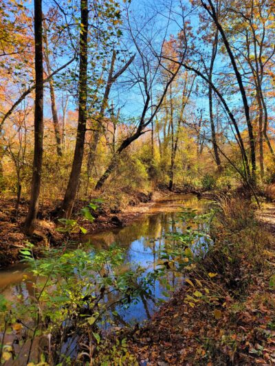 Shark River Park - Wall Township, NJ