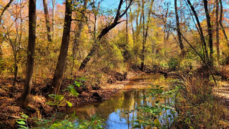 Shark River Park - Wall Township, NJ