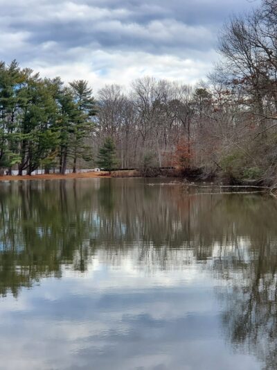 Shark River Park - Wall Township, NJ