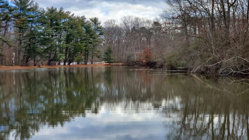 Shark River Park - Wall Township, NJ
