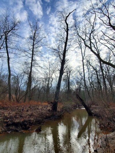 Shark River Park - Wall Township, NJ