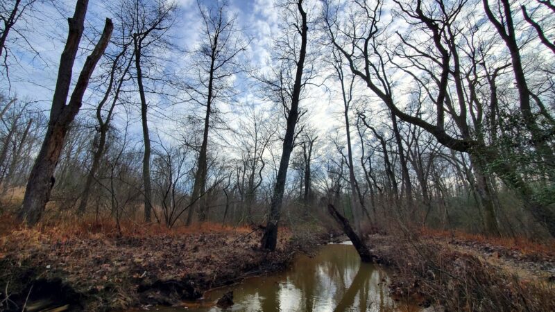 Shark River Park - Wall Township, NJ