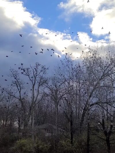 Awosting Reserve - Wallkill, NY