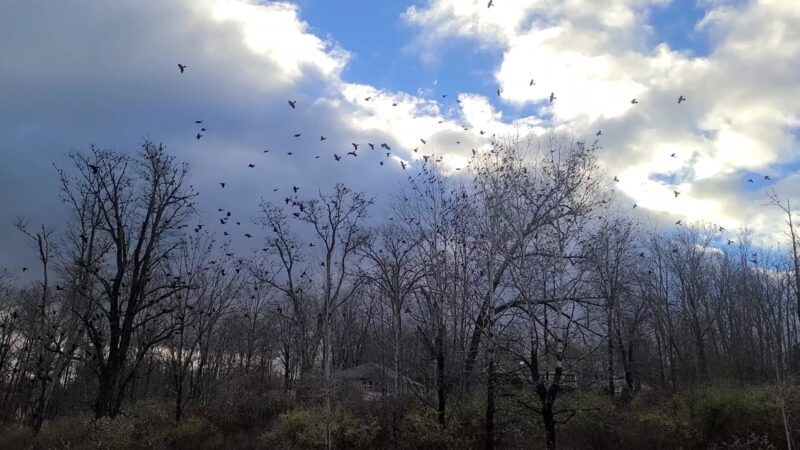 Awosting Reserve - Wallkill, NY