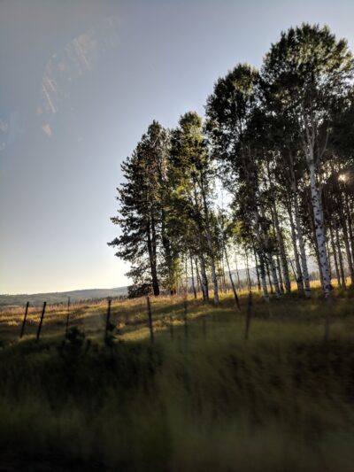 Wallowa Lake Highway Forest State Scenic Corridor - Wallowa, OR