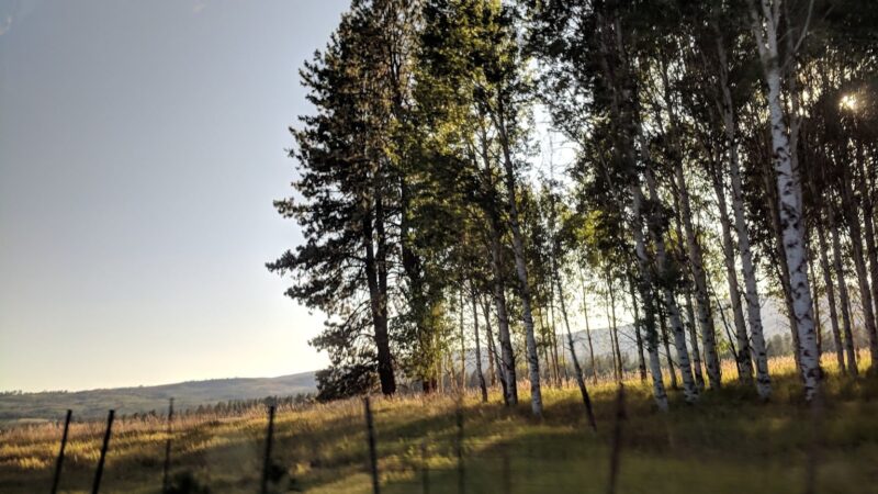 Wallowa Lake Highway Forest State Scenic Corridor - Wallowa, OR