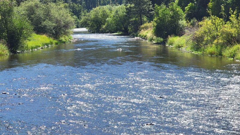 Wallowa Lake Highway Forest State Scenic Corridor - Wallowa, OR