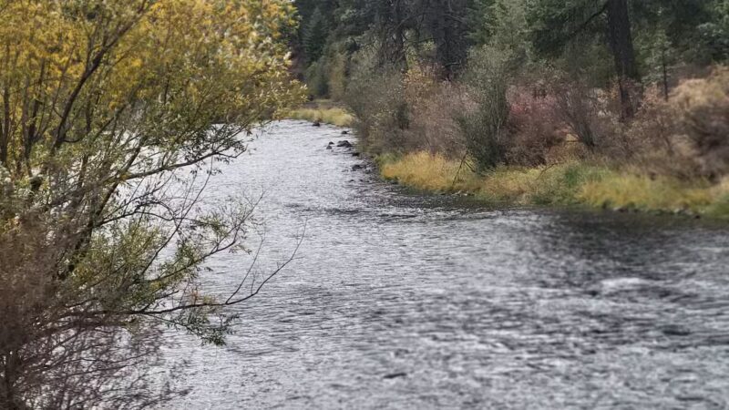 Wallowa Lake Highway Forest State Scenic Corridor - Wallowa, OR