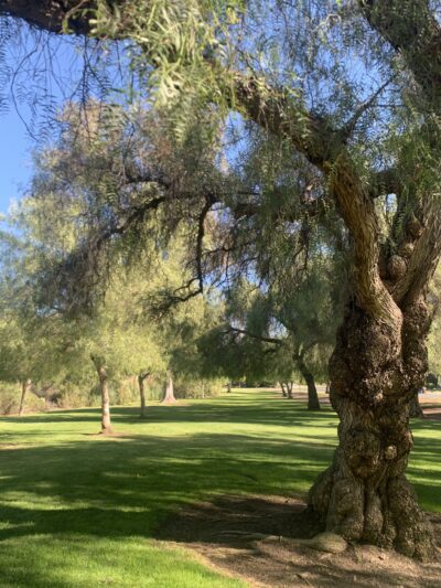 Creekside Park - Walnut, CA