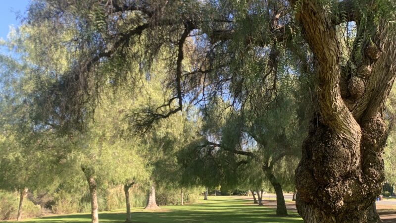 Creekside Park - Walnut, CA