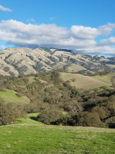 Diablo Foothills Regional Park - Walnut Creek, CA