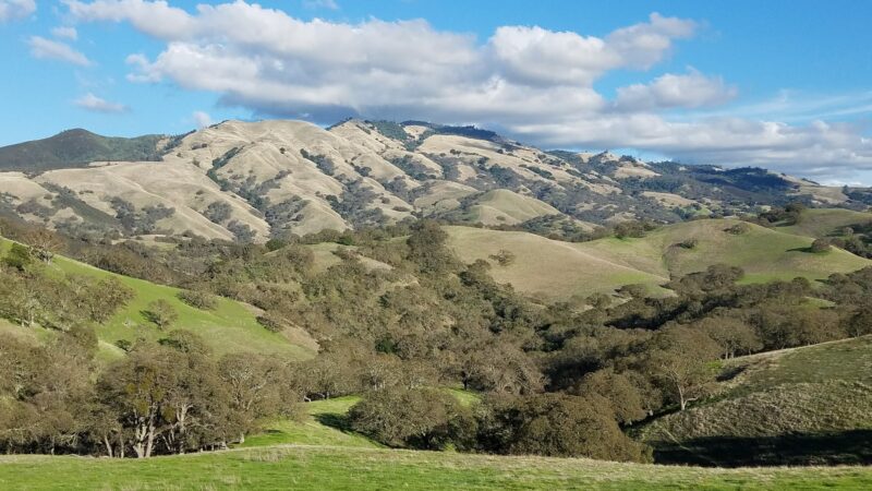 Diablo Foothills Regional Park - Walnut Creek, CA