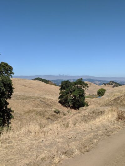 Diablo Foothills Regional Park - Walnut Creek, CA