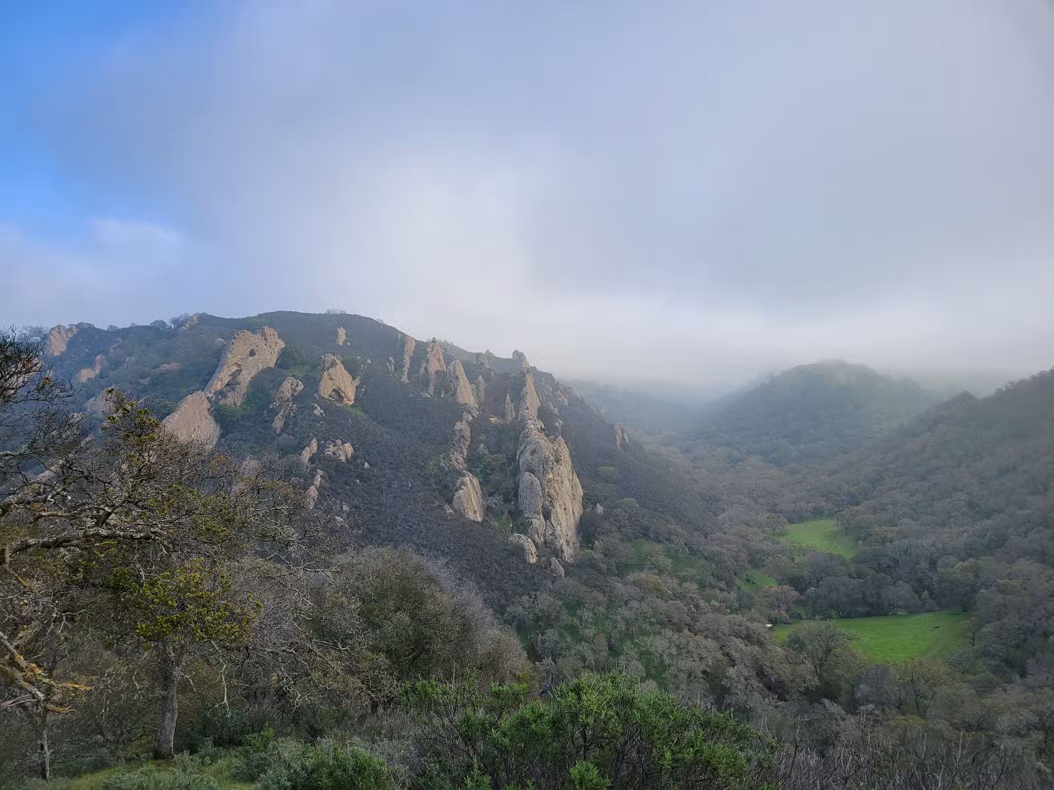 Diablo Foothills Regional Park - Walnut Creek, CA