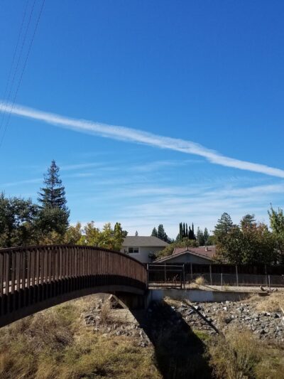 Diablo Shadows Park - Walnut Creek, CA