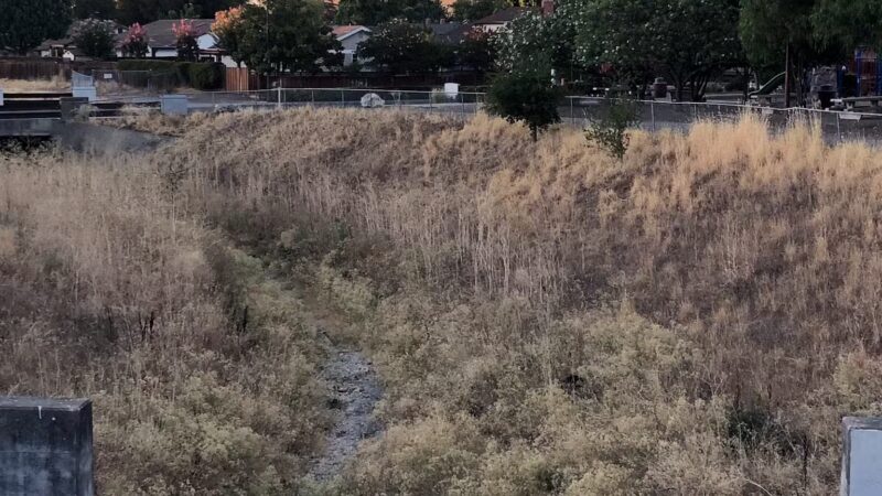 Diablo Shadows Park - Walnut Creek, CA