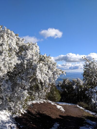 Juniper Trail - Walnut Creek, CA